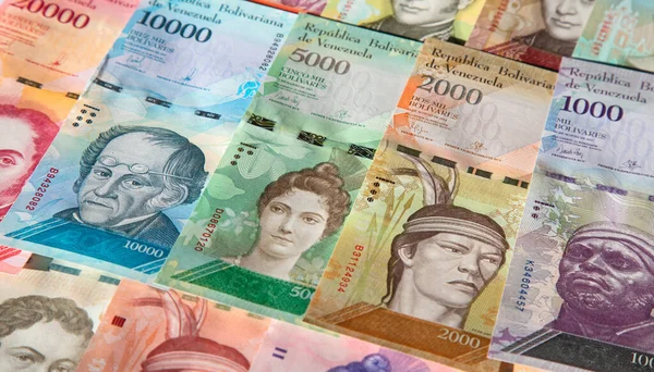 Verscheidenheid Aan Bankbiljetten Van Venezuela — Stockfoto