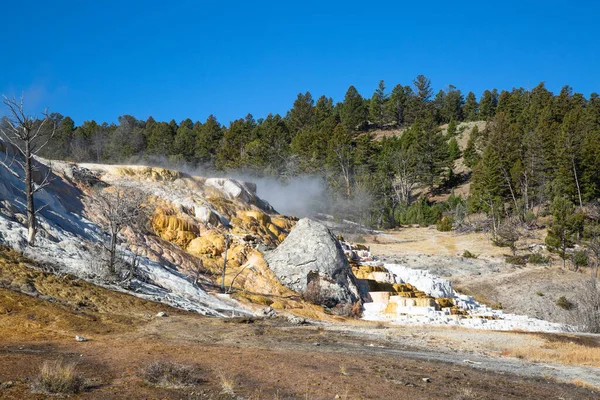 Gorące Źródła Mamuta Parku Narodowym Yellowstone Wyoming Usa — Zdjęcie stockowe