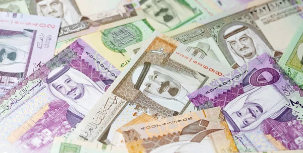 Suudi Arabistan Riyal para koleksiyonu