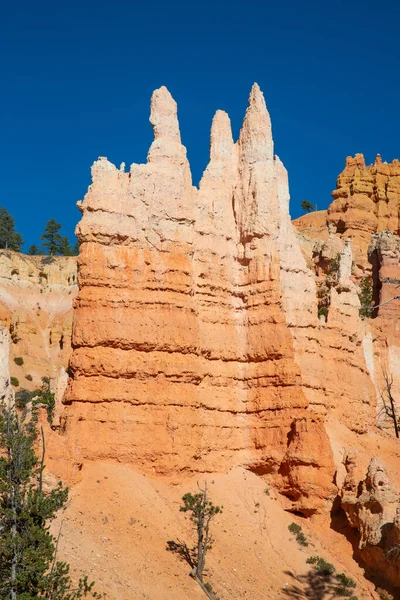 Národní Park Bryce Canyon Utahu Usa — Stock fotografie