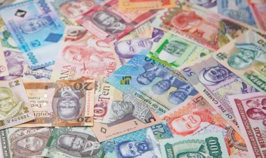 Güney Amerika banknotlarının çeşitliliği