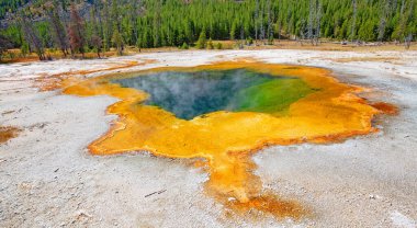 Yellowstone Ulusal Parkı 'ndaki kara kum gayzer havzası, ABD