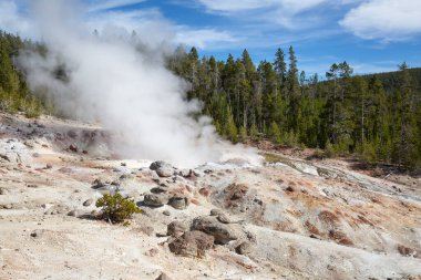 Yellowstone Ulusal Parkı 'nda gayzer patlaması, ABD