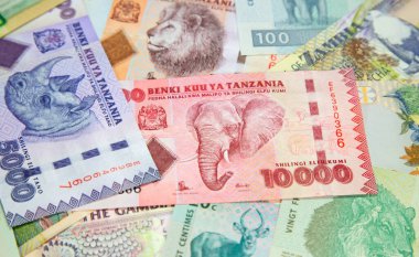 Afrika banknotlarının çeşitliliği