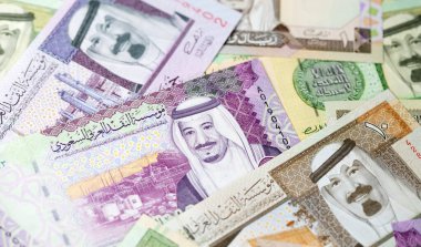 Suudi Arabistan Riyal para koleksiyonu