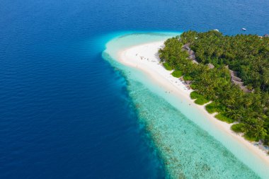 Maldivler 'de küçük bir ada. Palmiyelerle kaplı ve turkuvaz mavisi sularla çevrili. Güzel mercanları ve hayvanları var.