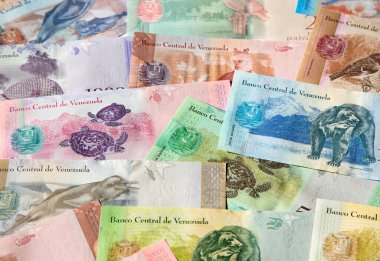 Venezuela 'nın çeşitli banknotları