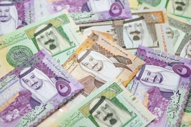 Suudi Arabistan Riyal para koleksiyonu