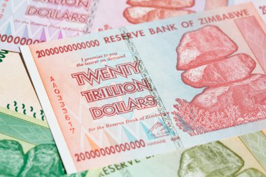 Yüksek enflasyondan sonra Zimbabwe 'nin banknotları
