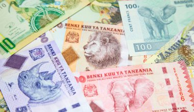 Afrika banknotlarının çeşitliliği