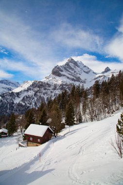 İsviçre Alplerinde kış (Braunwald, Glarus, İsviçre)