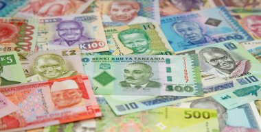 Afrika banknotlarının çeşitliliği