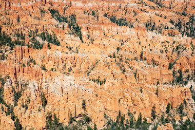 Bryce Canyon Ulusal Parkı Utah, ABD