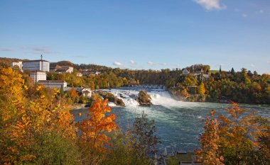 Rheinfall yakınlarındaki sonbahar manzarası - Avrupa 'nın en büyük şelalesi