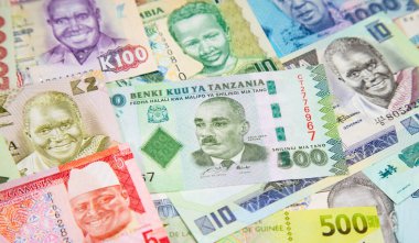 Afrika banknotlarının çeşitliliği