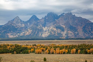 Grand Teton Ulusal Parkı, Wyoming, ABD