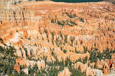 Bryce Canyon Ulusal Parkı Utah, ABD
