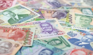 Afrika banknotlarının çeşitliliği