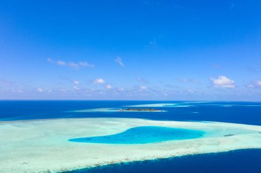 Maldivler 'de küçük bir ada. Palmiyelerle kaplı ve turkuvaz mavisi sularla çevrili. Güzel mercanları ve hayvanları var.
