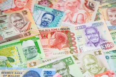 Afrika banknotlarının çeşitliliği