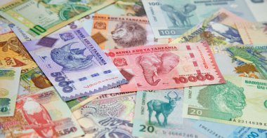 Afrika banknotlarının çeşitliliği