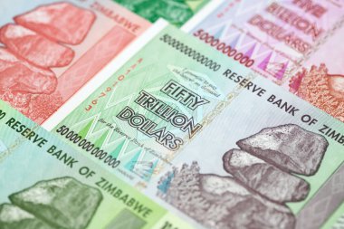 Yüksek enflasyondan sonra Zimbabwe 'nin banknotları