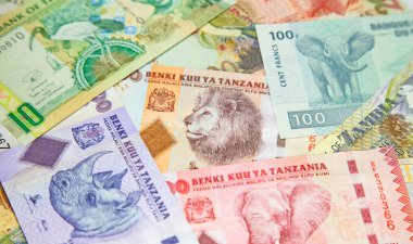 Afrika banknotlarının çeşitliliği