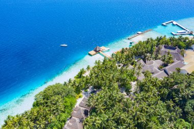 Maldivler 'de küçük bir ada. Palmiyelerle kaplı ve turkuvaz mavisi sularla çevrili. Güzel mercanları ve hayvanları var.