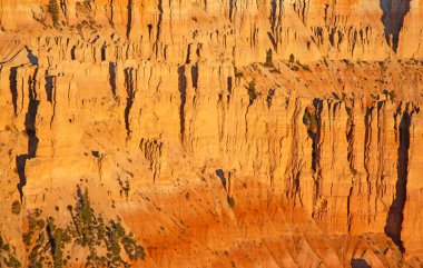 Bryce Canyon Ulusal Parkı Utah, ABD