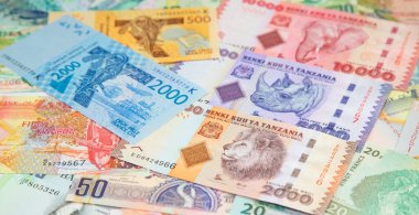 Afrika banknotlarının çeşitliliği