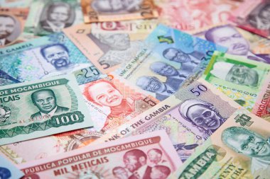 Güney Amerika banknotlarının çeşitliliği