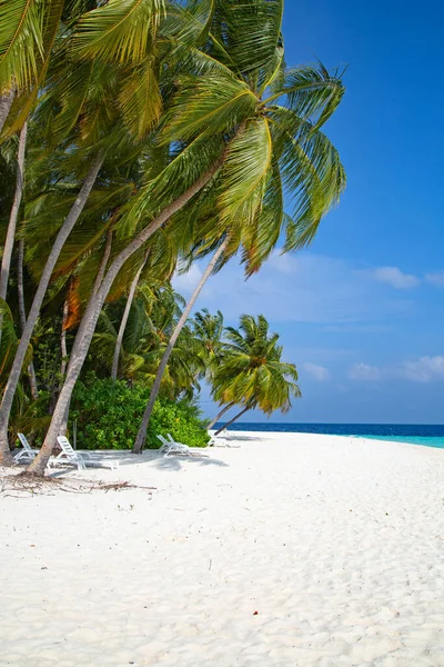 Mała Wyspa Malediwach Pokryta Palmami Otoczona Turkusowymi Wodami Pięknymi Koralami — Zdjęcie stockowe