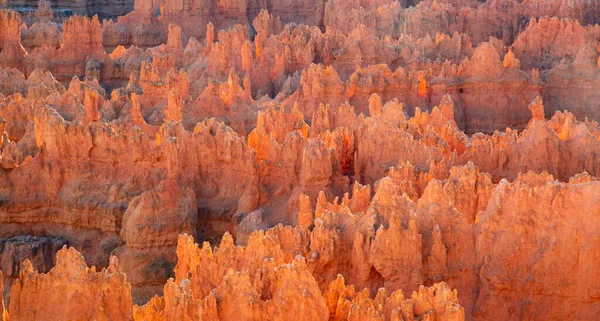 Bryce Canyon National Park Utah Usa — Stock Photo, Image