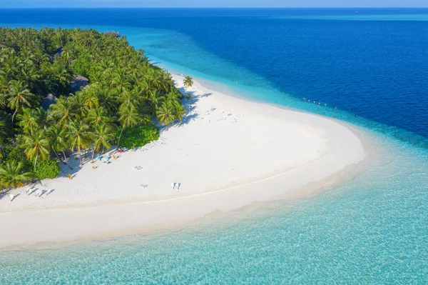 몰디브 의작은 야자나무로 아름다운 산호와 동물들로 둘러싸인 청록색 바다가 차가운 — 스톡 사진