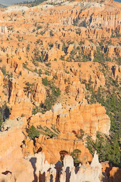 Εθνικό Πάρκο Bryce Φαράγγι Στη Γιούτα Ηπα — Φωτογραφία Αρχείου