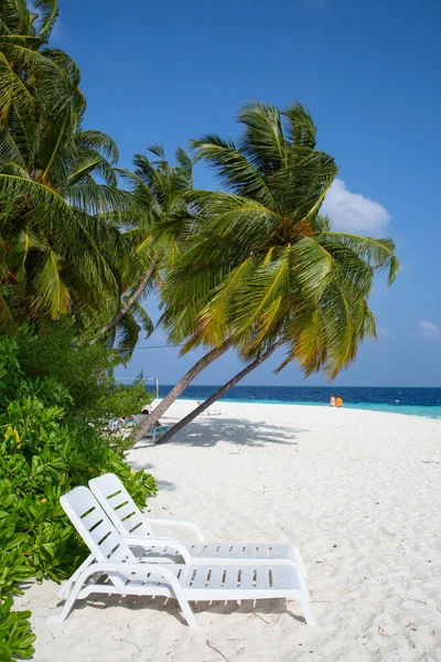 Small Island Maldives Covered Palms Surrounded Turquoise Blue Waters Beautiful — Stock Photo, Image