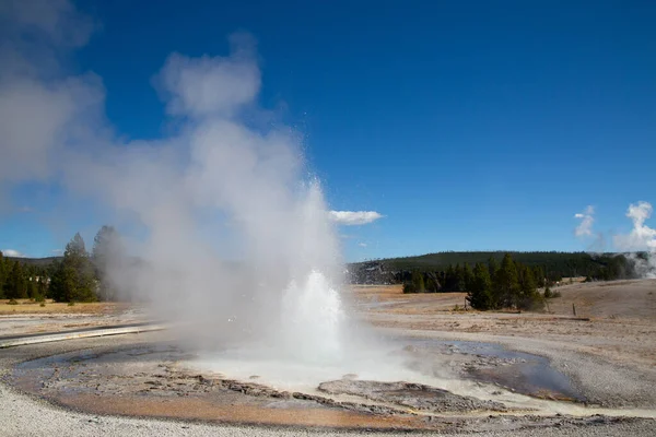 Eruzione Geyser Nel Parco Nazionale Yellowstone Usa — Foto Stock