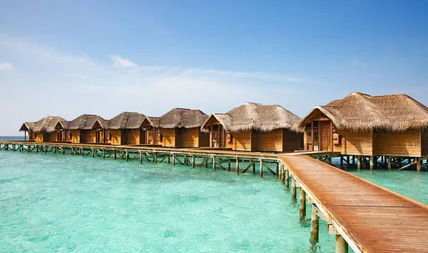 Pequena Ilha Nas Maldivas Coberta Por Palmeiras Cercada Por Águas — Fotografia de Stock