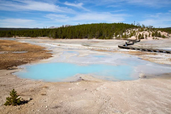 Cuenca Del Géiser Norris Parque Nacional Yellowstone Estados Unidos — Foto de Stock