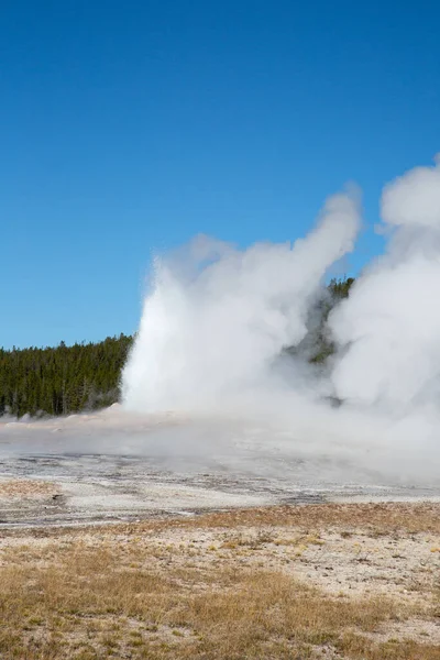 Erupción Géiser Parque Nacional Yellowstone Estados Unidos — Foto de Stock