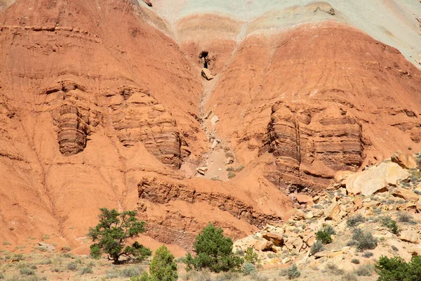 Utah Abd Deki Capitol Resif Ulusal Parkı — Stok fotoğraf