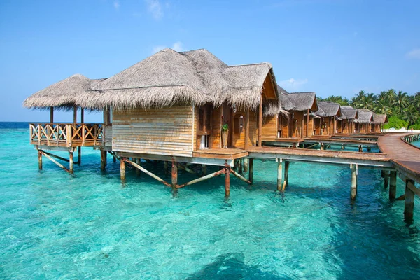 Petite Île Aux Maldives Couverte Palmiers Entourée Eaux Bleu Turquoise — Photo