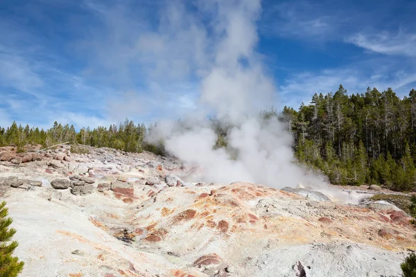 Cuenca Del Géiser Norris Parque Nacional Yellowstone Estados Unidos — Foto de Stock