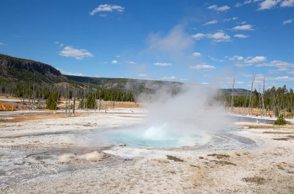 Erupción Géiser Parque Nacional Yellowstone Estados Unidos — Foto de Stock