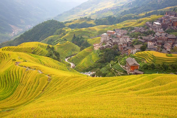 Longsheng Rice Terraces Espinha Dorsal Dragão Também Conhecido Como Longji — Fotografia de Stock