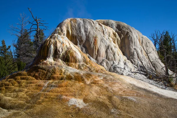 Mammoth Hot Springs Yellowstone National Park Wyoming Usa — Stock Photo, Image