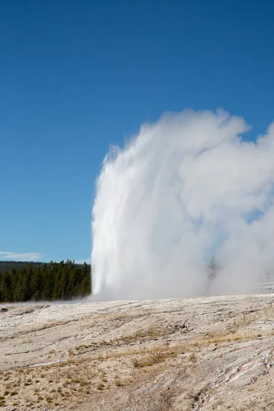 Erupción Géiser Parque Nacional Yellowstone Estados Unidos —  Fotos de Stock