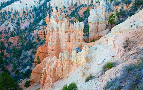 Parque Nacional Del Cañón Bryce Utah —  Fotos de Stock