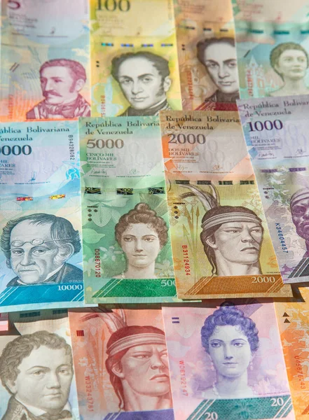 Venezuela Nın Çeşitli Banknotları — Stok fotoğraf