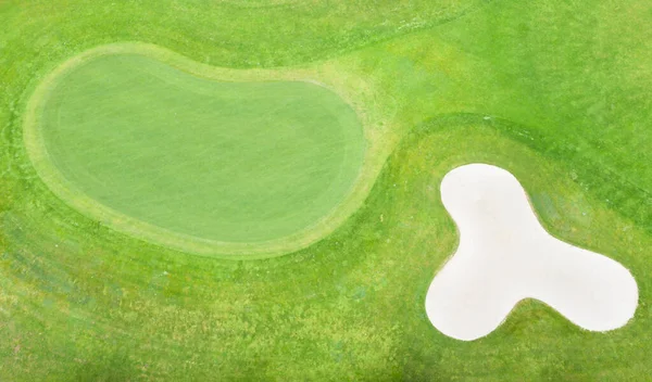 Golfbal Het Groene Gras Van Golfbaan — Stockfoto